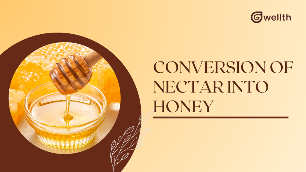 NECTAR INTO NATURAL HONEY