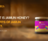 What is pure jamun honey? benefits of jamun honey