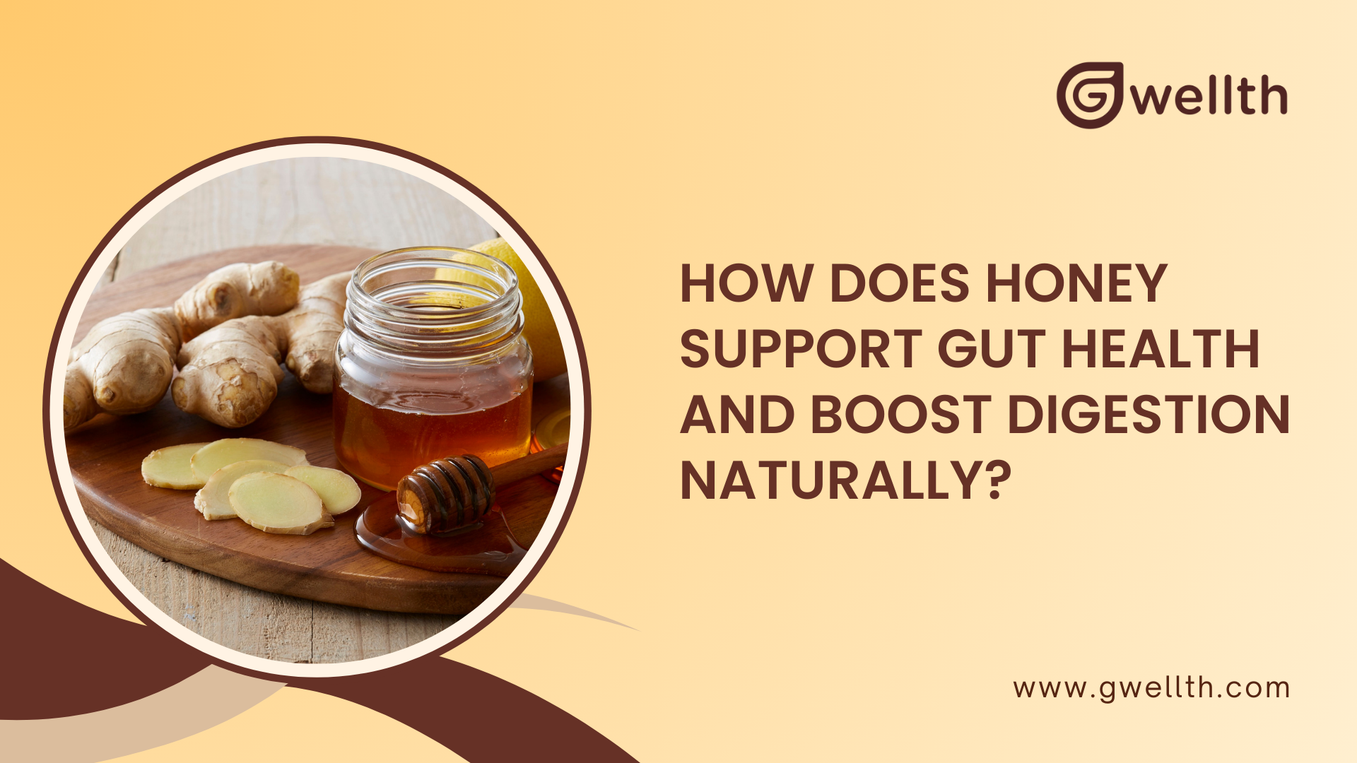 Honey Support Gut Health And Boost Digestion Naturally